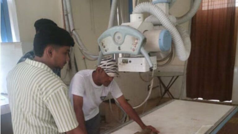 बरेली में 5 बंदरों को पीट-पीटकर हत्या, हड्डियां भी नहीं बची साबूत