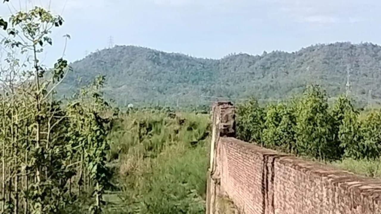 गर्मियों की मस्ती और बोटिंग… सहारनपुर में ऐसे मनाएं यादगार पिकनिक