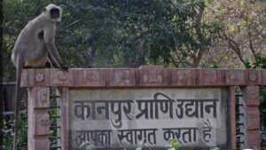जल्द खुलेगा कानपुर का चिड़ियाघर; बर्ड फ्लू का खतरा टला, सभी सैंपल की रिपोर्ट आई नेगेटिव