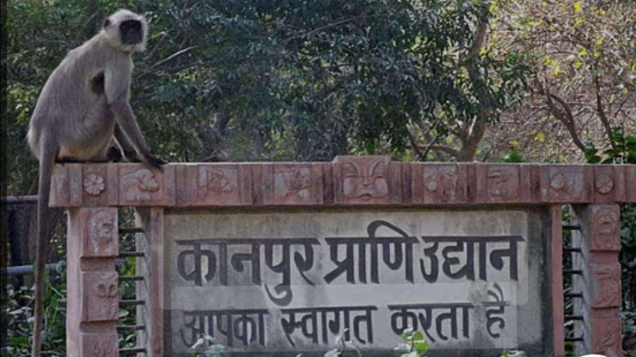 जल्द खुलेगा कानपुर का चिड़ियाघर; बर्ड फ्लू का खतरा टला