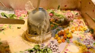 भीषण गर्मी में बाबा का गुलाबजल और ठंडई से अभिषेक, काशी-विश्वनाथ के दरबार में हुए ये अनुष्ठान; Photos