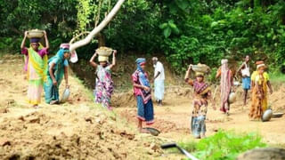 प्रयागराज में मनरेगा ऑनलाइन हाजिरी घोटाला, मजदूरों की जगह योग करते युवाओं की तस्वीरें