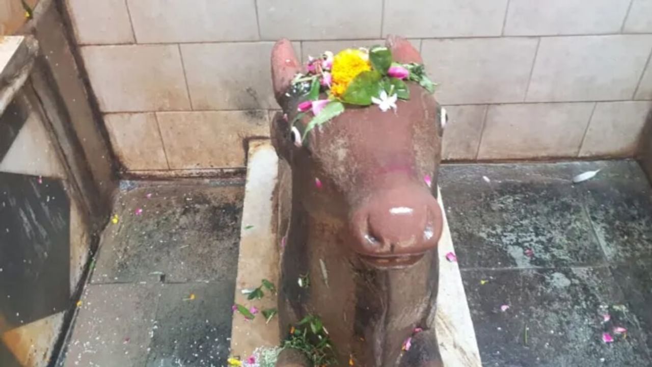 अयोध्या में नागों के फन पर क्यों विराजे हैं महादेव, जानिए नागेश्वरनाथ मंदिर की अद्भुत कथा