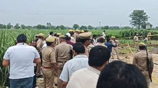 अमरोहा की पटाखा फैक्ट्री में धमाका, 6 की मौत; ताश पत्ते की तरह ढह गई बिल्डिंग