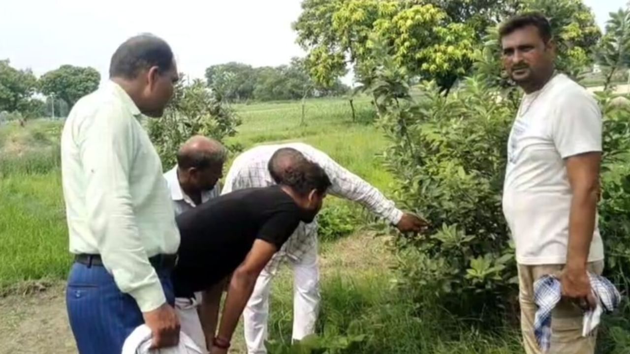 सपना देख बलिया के किसान ने उगाई सेब की फसल, फल लगते ही देखने दौड़े लोग; Photos
