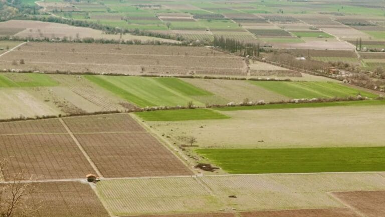 टूट जाएगा जेवर एयरपोर्ट के पास घर का सपना?अधर में यीडा की ये बडी योजना