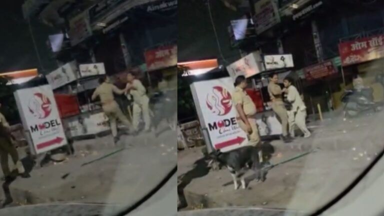 'मॉडल चाय वाली' को घसीटा, वायरल हुआ वीडियो; पुलिस बोली- वो तो...