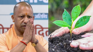 सरकारी हॉस्पिटल में जन्मे बच्चों को एक-एक पौधा देगी UP सरकार, जानिए क्यों ?