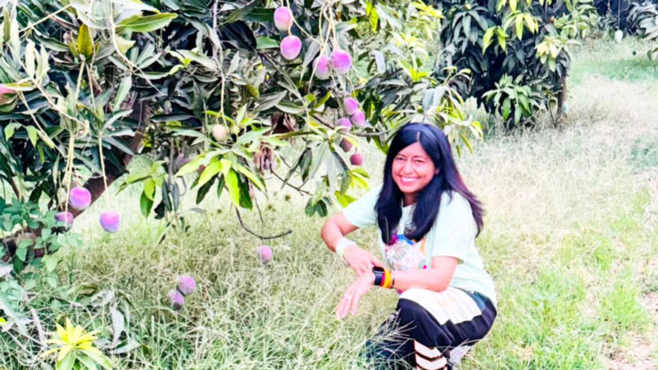 मुंबई में मशहूर है यूपी का शाहबादी आम, यहीं है आमिर खान का 200 बीघा का बाग