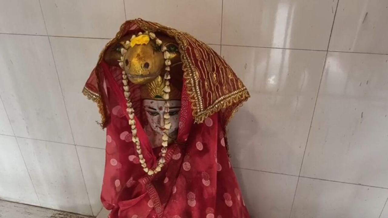 UP के इस गांव में सांपों के काटने से क्यों नहीं होती है किसी की मौत?