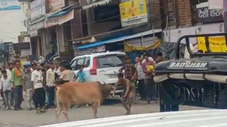 बीच सड़क पर सांड से युवक की कुश्ती, दोनों में हुई ऐसी फाइट कि…