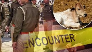 राम बहादुर ने की गाय के साथ दरिंदगी, वायरल हुआ था वीडियो; अब पुलिस ने किया ये हाल