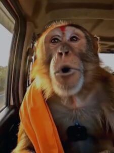 AI से बनाई मंगेश और डोंगेश की जोड़ी, आकाश ने गांव से किया डिजिटल क्रिएशन