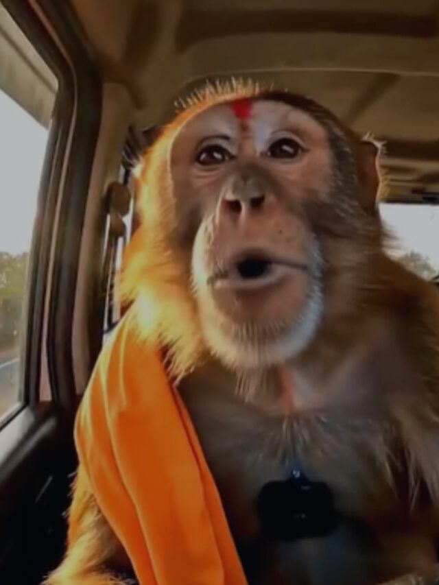 AI से बनाई मंगेश और डोंगेश की जोड़ी, आकाश ने गांव से किया डिजिटल क्रिएशन AI से बनाई मंगेश और डोंगेश की जोड़ी, आकाश ने गांव से किया डिजिटल क्रिएशन