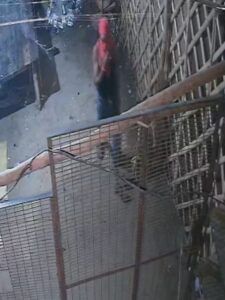 औरैया में शराब ठेके से 3 लाख की चोरी, ‘दीवाना’ ब्रांड की शराब लेकर फरार हुए चोर