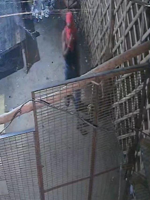 औरैया में शराब ठेके से 3 लाख की चोरी, ‘दीवाना’ ब्रांड की शराब लेकर फरार हुए चोर औरैया में शराब ठेके से 3 लाख की चोरी, ‘दीवाना’ ब्रांड की शराब लेकर फरार हुए चोर