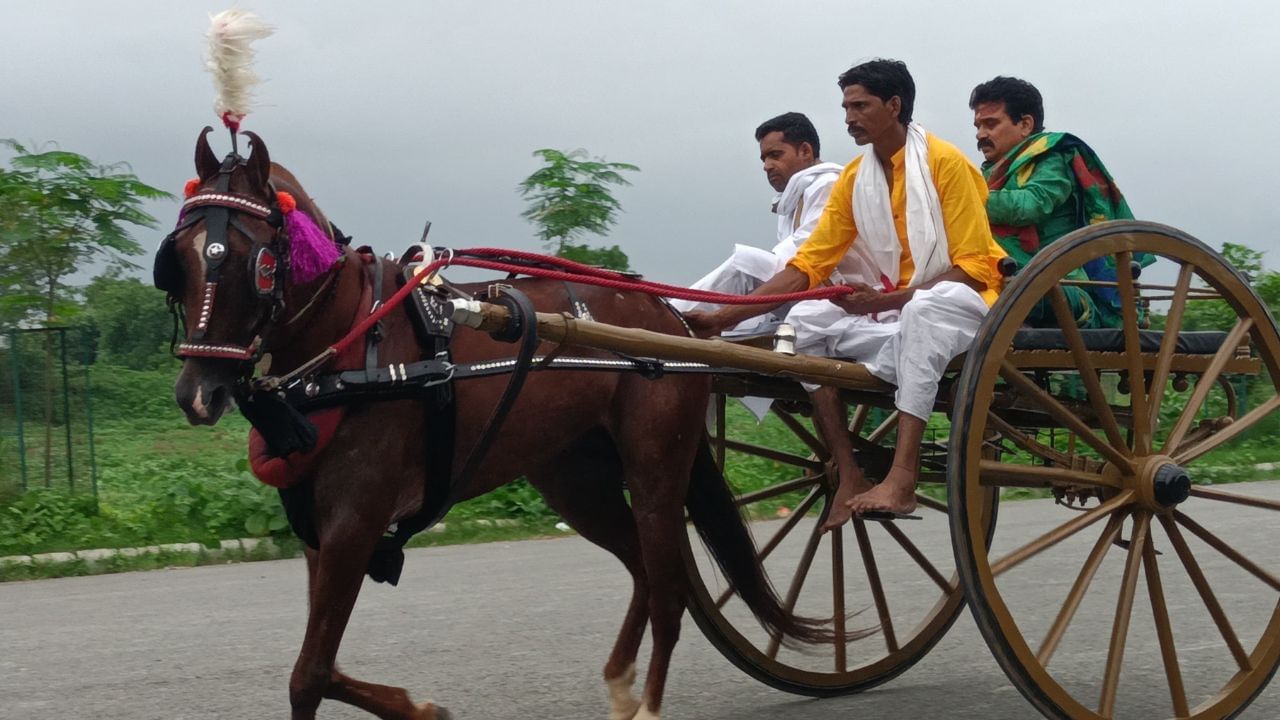 सावन में घोड़ों का कैट वॉक, प्रयागराज में गहरेबाजी की अनोखी परम्परा, जानिए क्यों है खास