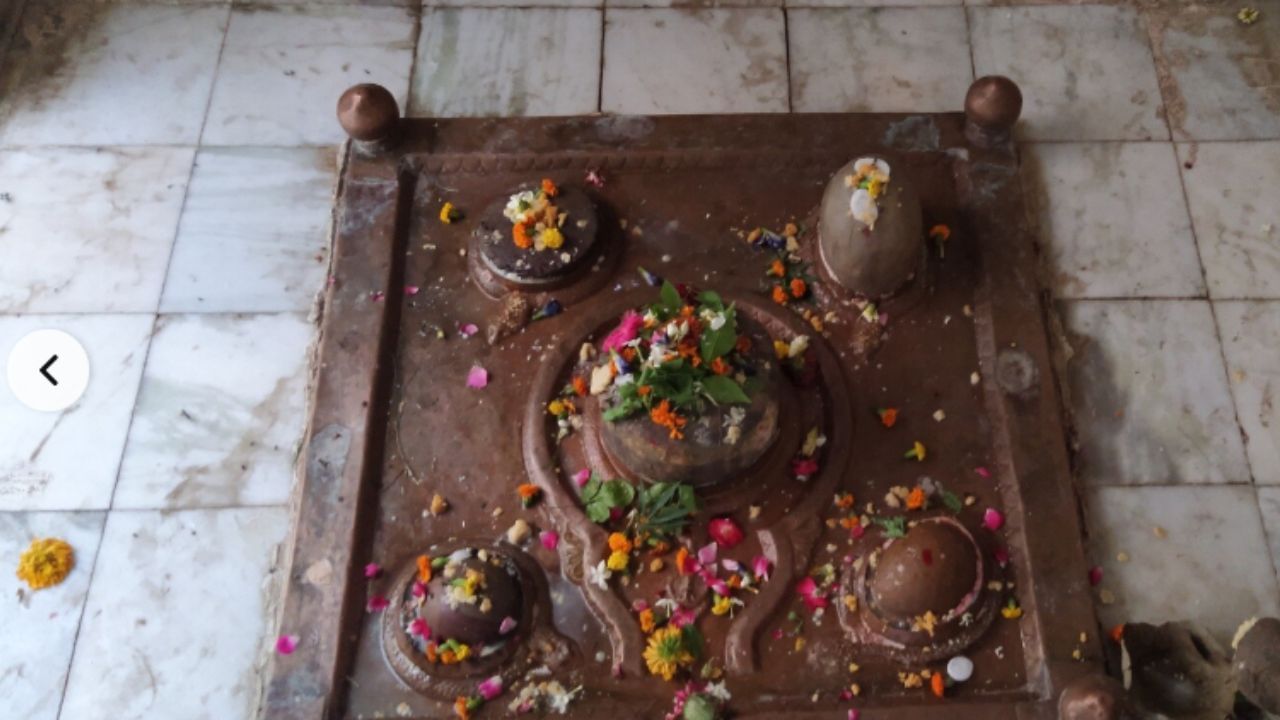 नाग-नागिन करते हैं यहां हर साल पूजा, दैत्यगुरु के सपने से बना ये शिवमंदिर कहां है?