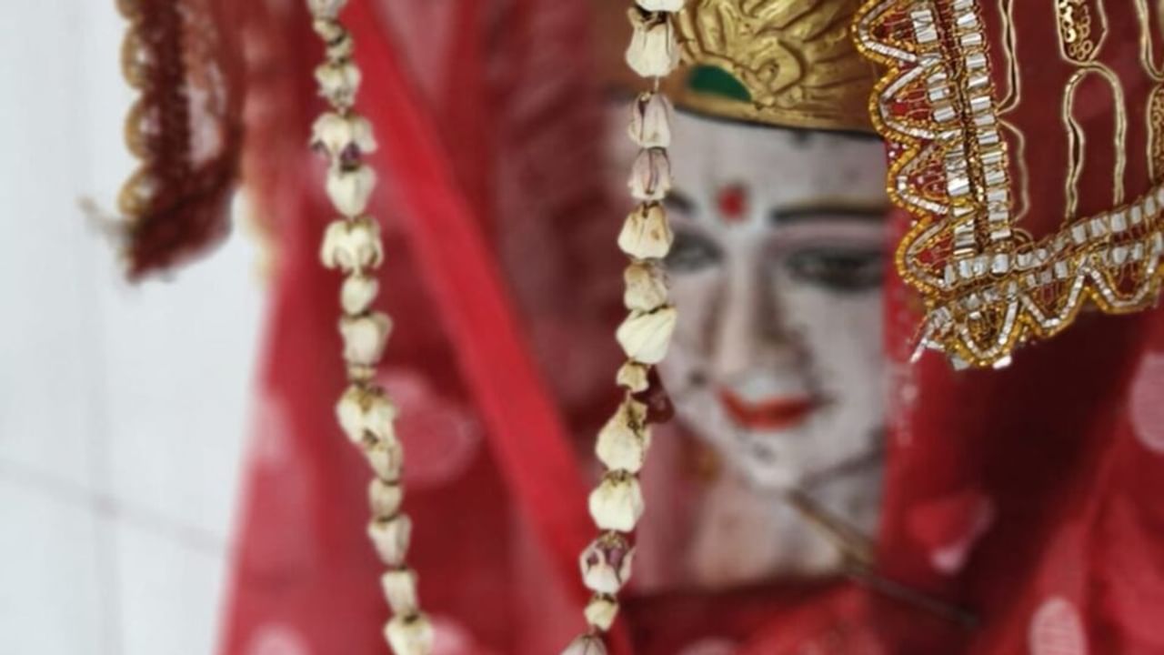 UP के इस गांव में सांपों के काटने से क्यों नहीं होती है किसी की मौत?