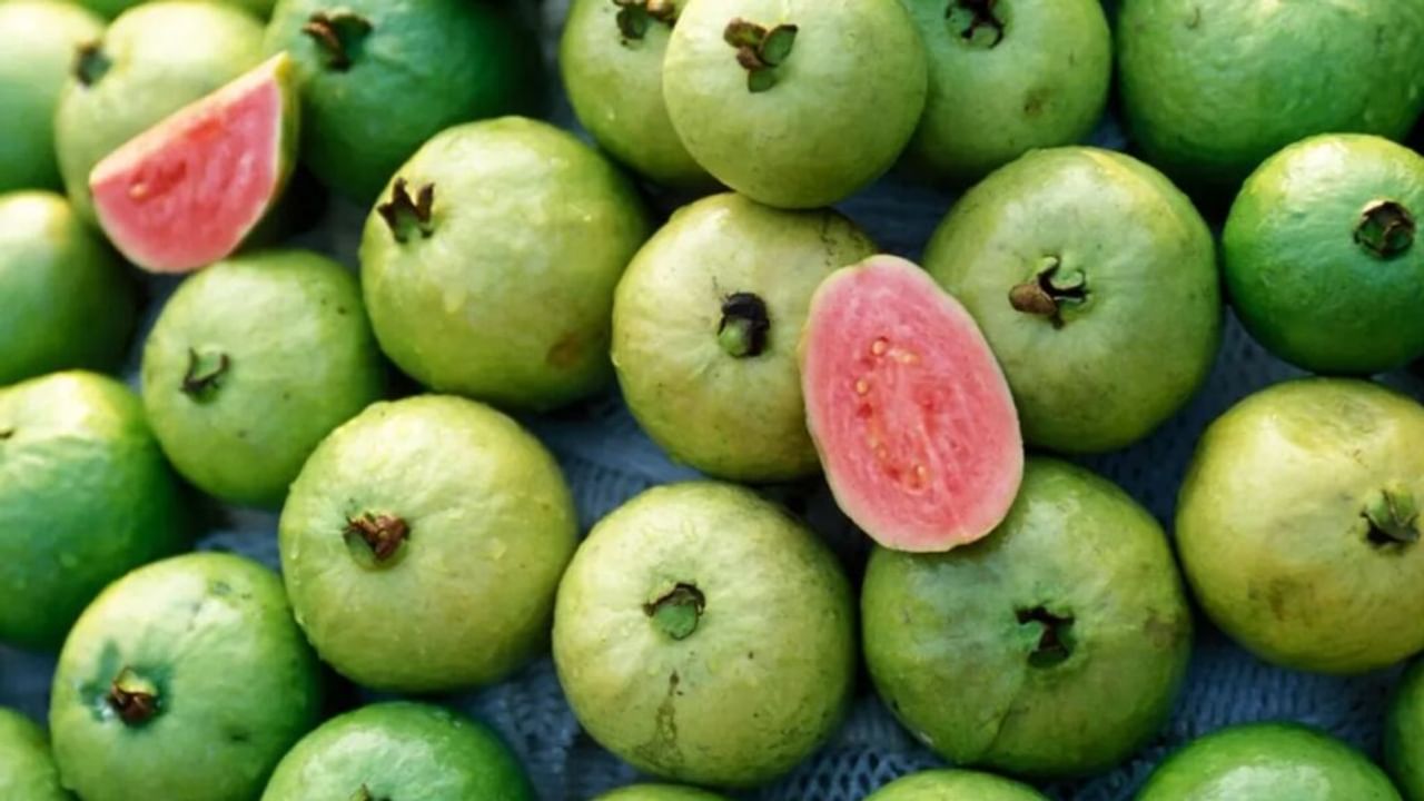 अब हर मौसम में ले पाएंगे इलाहाबादी अमरूदों का स्वाद… जानिए कैसे संभव हो पाया