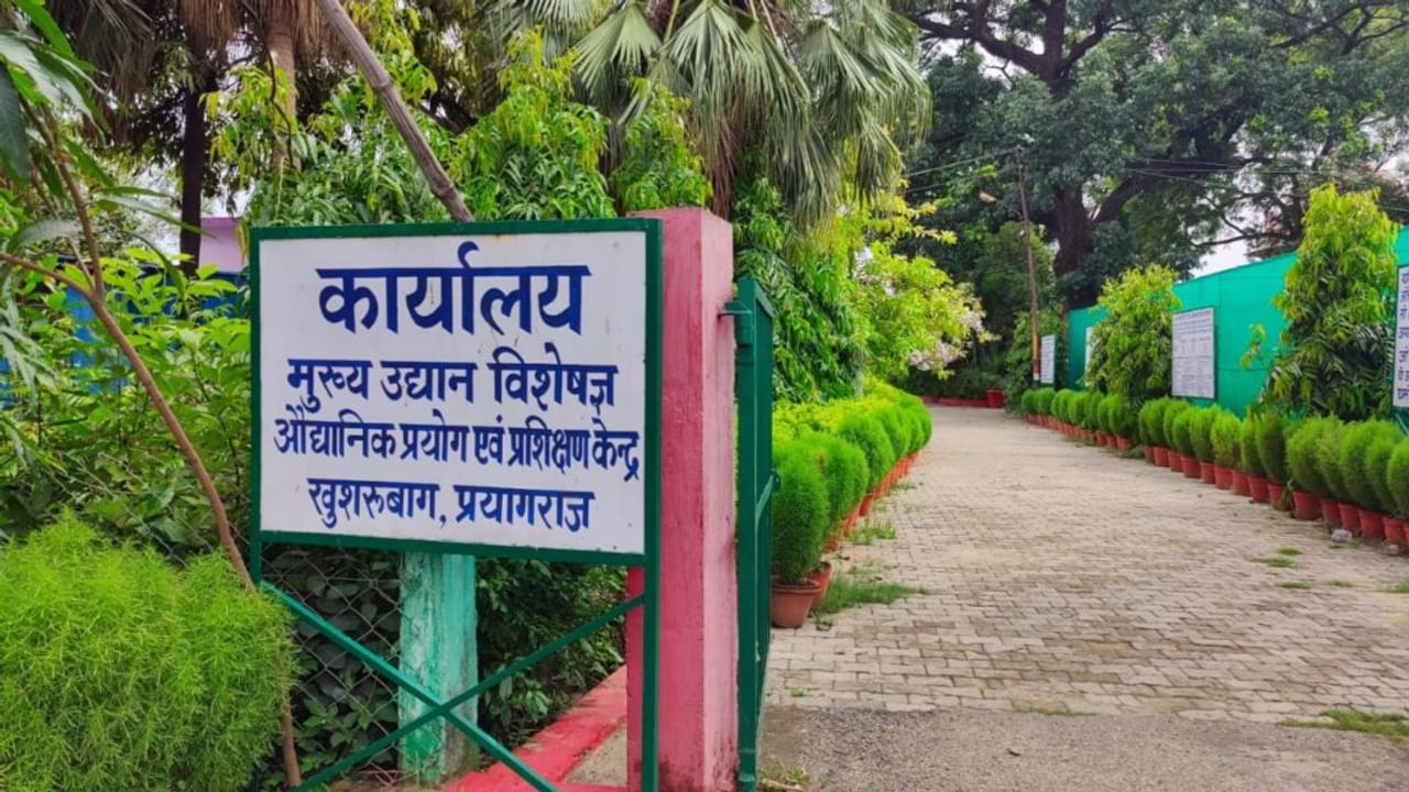 अब हर मौसम में ले पाएंगे इलाहाबादी अमरूदों का स्वाद… जानिए कैसे संभव हो पाया