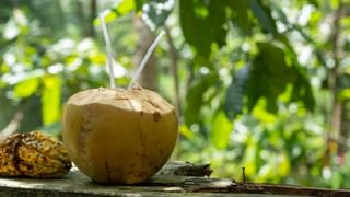 क्या नारियल पानी सभी के लिए सही है? जानिए किन्हें इसे नहीं पीना चाहिए