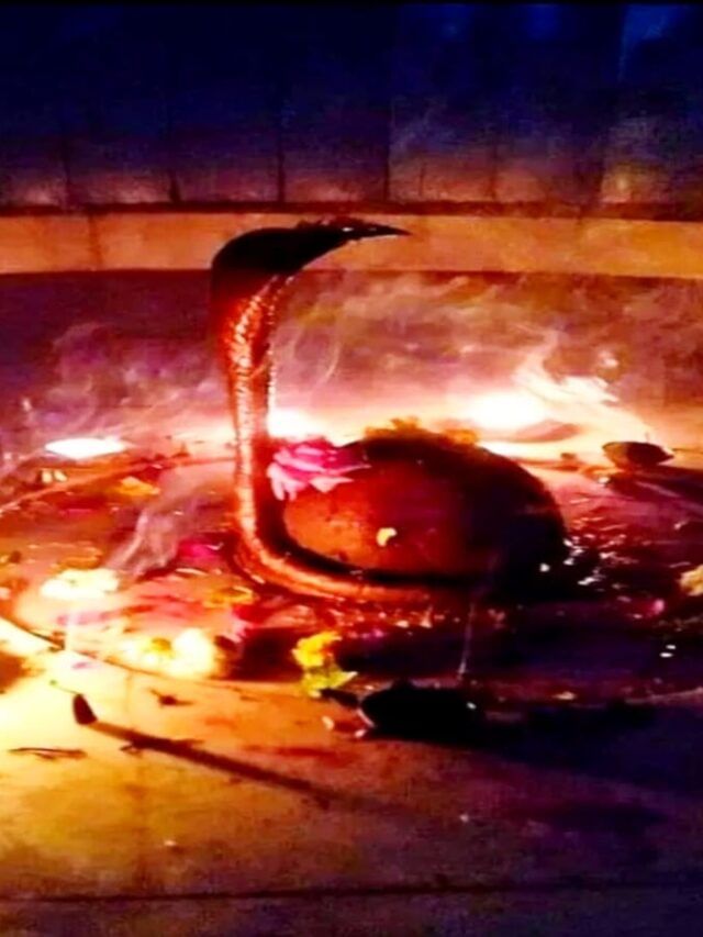 यूपी का रहस्यमयी भूतनाथ मंदिर, जहां अदृश्य शक्ति करती है शिवलिंग की पूजा यूपी का रहस्यमयी भूतनाथ मंदिर, जहां अदृश्य शक्ति करती है शिवलिंग की पूजा