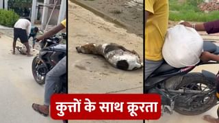 कुत्तों के साथ क्रूरता, जबरन बोरी में भरकर लेकर जाने के लेते थे 500 से 2000 रुपये, केस दर्ज