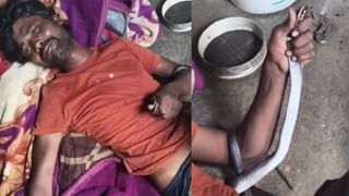 सोते समय पेट पर चढ़ आया कोबरा, युवक ने पकड़ा फन और मसलकर ले ली जान; सामने आया वीडियो
