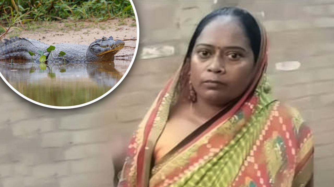 पति से झगड़ा, कानपुर से गंगा में कूदी, बेहोशी में पहुंची उन्नाव… होश आने पर सामने दिखा मगरमच्छ, फिर जो हुआ पति से झगड़ा, कानपुर से गंगा में कूदी, बेहोशी में पहुंची उन्नाव… होश आने पर सामने दिखा मगरमच्छ, फिर जो हुआ