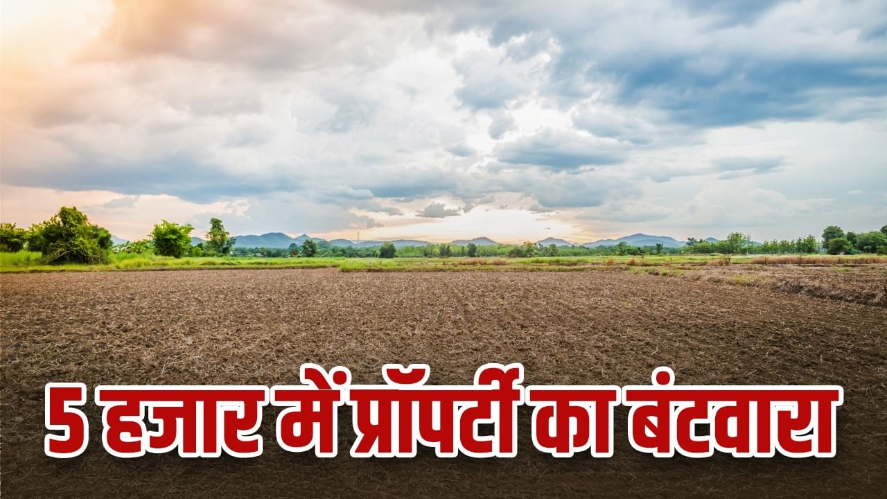 दादा का… पापा का… चाचा का… सबकी प्रॉपर्टी का बंटवारा होगा सिर्फ़ 5 हज़ार में दादा का… पापा का… चाचा का… सबकी प्रॉपर्टी का बंटवारा होगा सिर्फ़ 5 हज़ार में