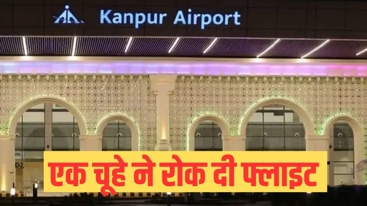 गजब! एक चूहे ने रोक दी हवाई जहाज की उड़ान, तीन घंटे तक अफरा-तफरी; इंडिगो ने मांगी माफी गजब! एक चूहे ने रोक दी हवाई जहाज की उड़ान, तीन घंटे तक अफरा-तफरी; इंडिगो ने मांगी माफी
