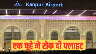गजब! एक चूहे ने रोक दी हवाई जहाज की उड़ान, तीन घंटे तक अफरा-तफरी; इंडिगो ने मांगी माफी