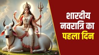 शारदीय नवरात्रि पर मां शैलपुत्री की पूजा के लिए कौन से मंत्र का जप करें?
