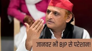 इस सरकार में आदमी ही नहीं, जानवर भी परेशान… वन्यजीव-मानव संघर्ष पर बोले अखिलेश यादव