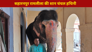 सहारनपुर रामलीला की शान है ‘चंचल’ हथिनी, भगवान राम-सीता को कराती है नगर भ्रमण