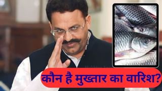 मुख्तार के बाद कौन संभाल रहा अरबों का ‘साम्राज्य’, मऊ की मछली मार्केट में किस गैंग के लोग कर रहे उगाही?