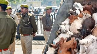 गोरखपुर जोन में बड़ा एक्शन, 2 थानेदार- 3 चौकी इंचार्ज समेत 25 पुलिसकर्मी लाइन हाजिर