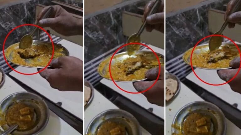 ढाबे पर उड़ा रहे थे शाही पनीर का लुफ्त, तभी दिखा कुछ ऐसा कि…; VIDEO