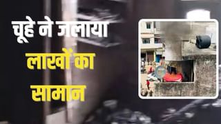 जलती बत्ती लेकर भागा चूहा, फिर गोदाम में लगा दी आग… लाखों का सामान जलकर खाक