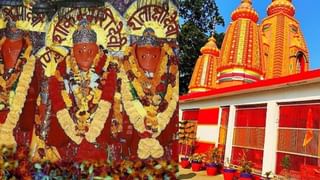 Shardiya Navratri 2025: राक्षसों का संहार किया, साग उगाकर बचाई सृष्टि; मां शाकंभरी देवी की अनूठी कहानी
