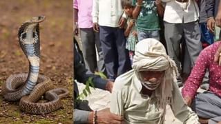 नागिन का बदला! इस बुजुर्ग का क्यों पीछा कर रहा जहरीला सांप? 45 साल में 14 बार डसा