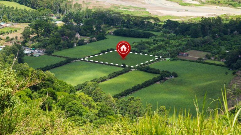 up government plots