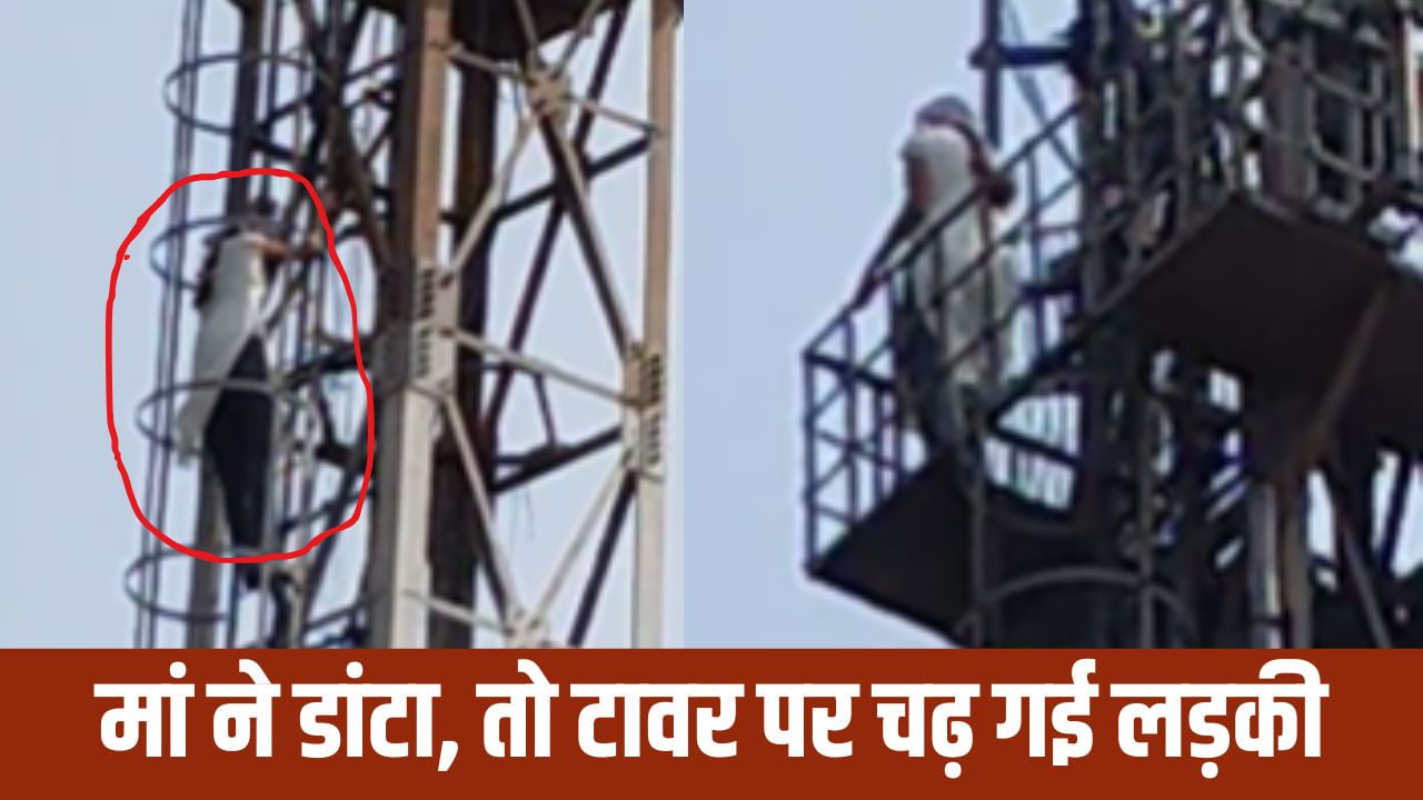 मिर्जापुर में हाईवोल्टेज ड्रामा, मां की डांट से BSNL टावर पर चढ़ी लड़की; वीडियो वायरल मिर्जापुर में हाईवोल्टेज ड्रामा, मां की डांट से BSNL टावर पर चढ़ी लड़की; वीडियो वायरल