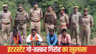 सोनभद्र में पुलिस और गो-तस्करों के बीच मुठभेड़, 5 गिरफ्तार; एक के पैर में लगी गोली
