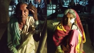 पहले बहराइच और अब कासगंज में इस जानवर की दहशत, रामलीला में घुसकर 8 लोगों को नोच डाला