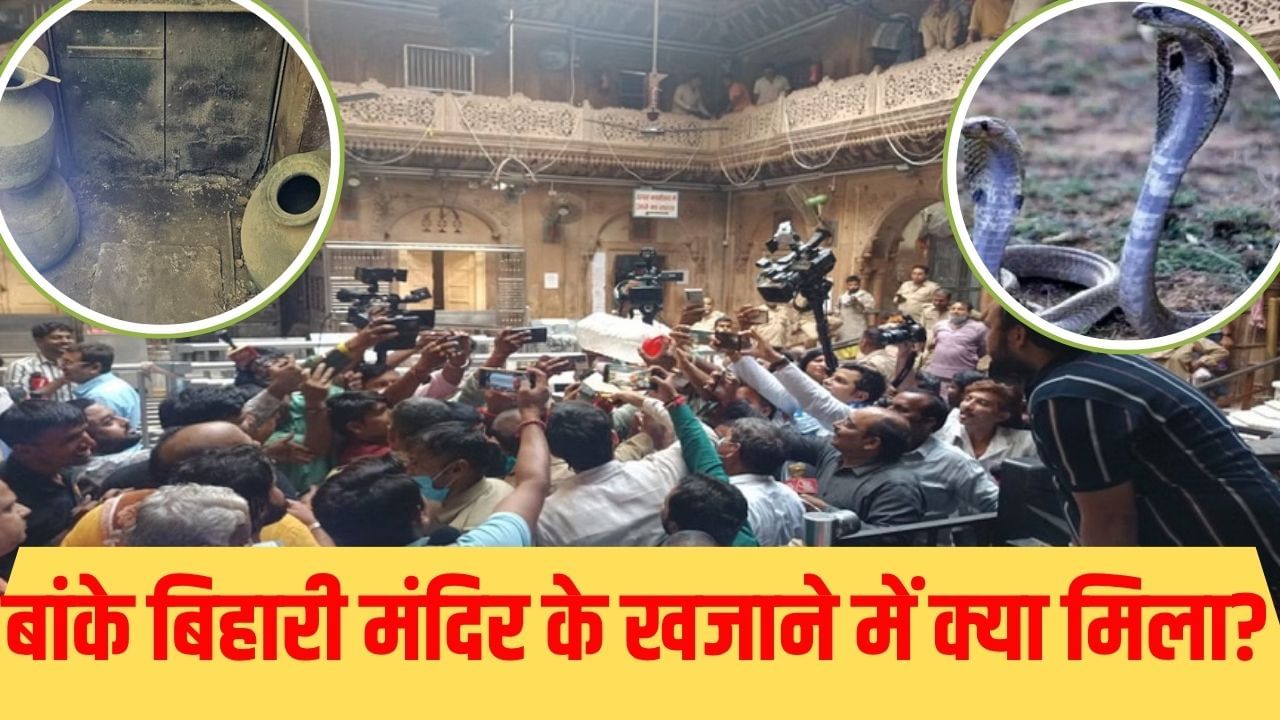 खाली डिब्बे, बक्सों की टूटी कड़ियां, क्या माखनचोर के घर में हो गई चोरी? तहखाने में मिले सांप के जोड़े खाली डिब्बे, बक्सों की टूटी कड़ियां, क्या माखनचोर के घर में हो गई चोरी? तहखाने में मिले सांप के जोड़े