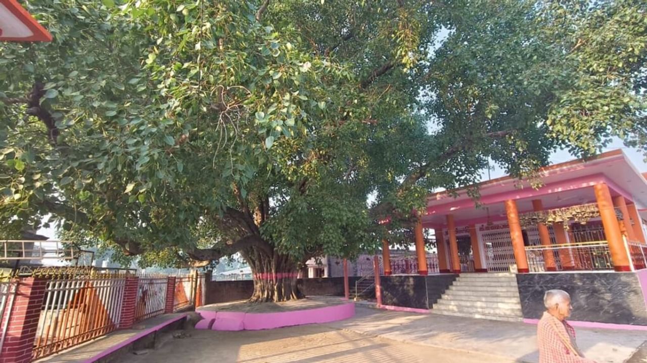 चंदौली के इस सरोवर में स्नान करने से भर जाती है गोद! 300 साल पुरानी परंपरा; Photos