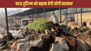 हर जिले में एक आदर्श गौशाला बनाएगी योगी सरकार, जहां पर जा सकेंगे पर्यटक