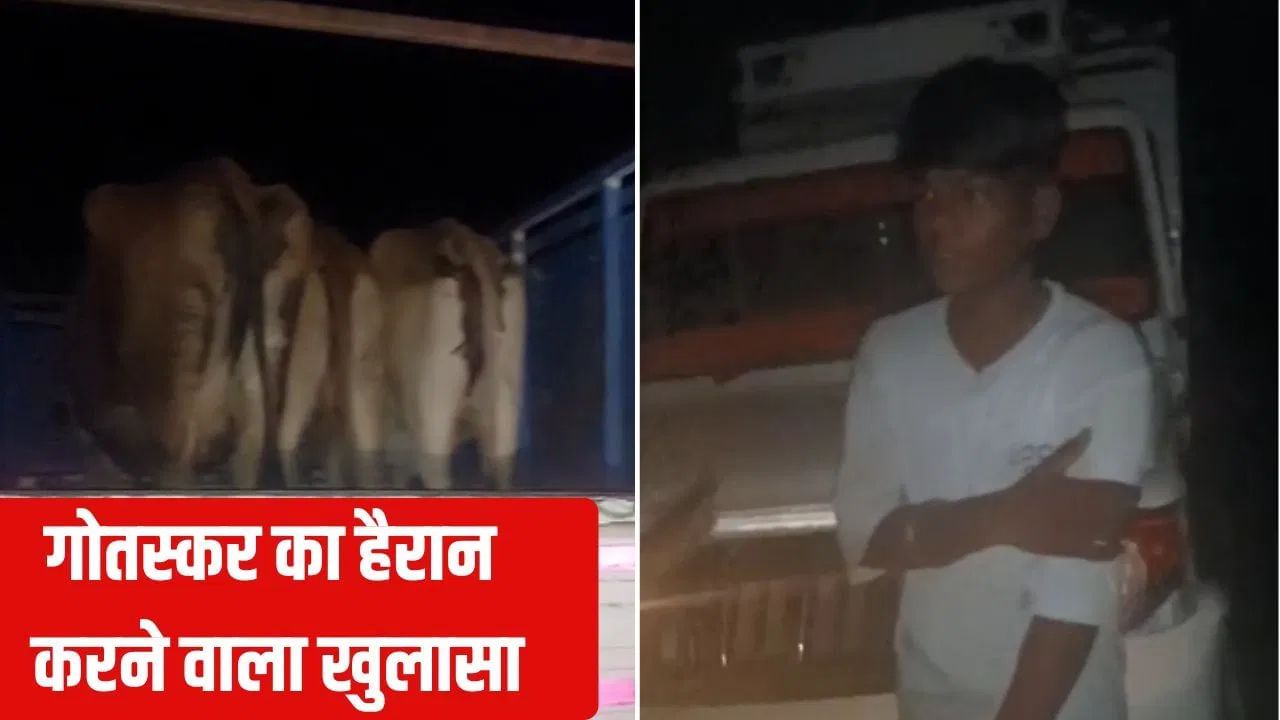 “ऐसे रोक नहीं सकते, हर हफ्ते ₹25 हजार देता हूं…” गो तस्कर ने बताई मिलीभगत की पूरी कहानी “ऐसे रोक नहीं सकते, हर हफ्ते ₹25 हजार देता हूं…” गो तस्कर ने बताई मिलीभगत की पूरी कहानी